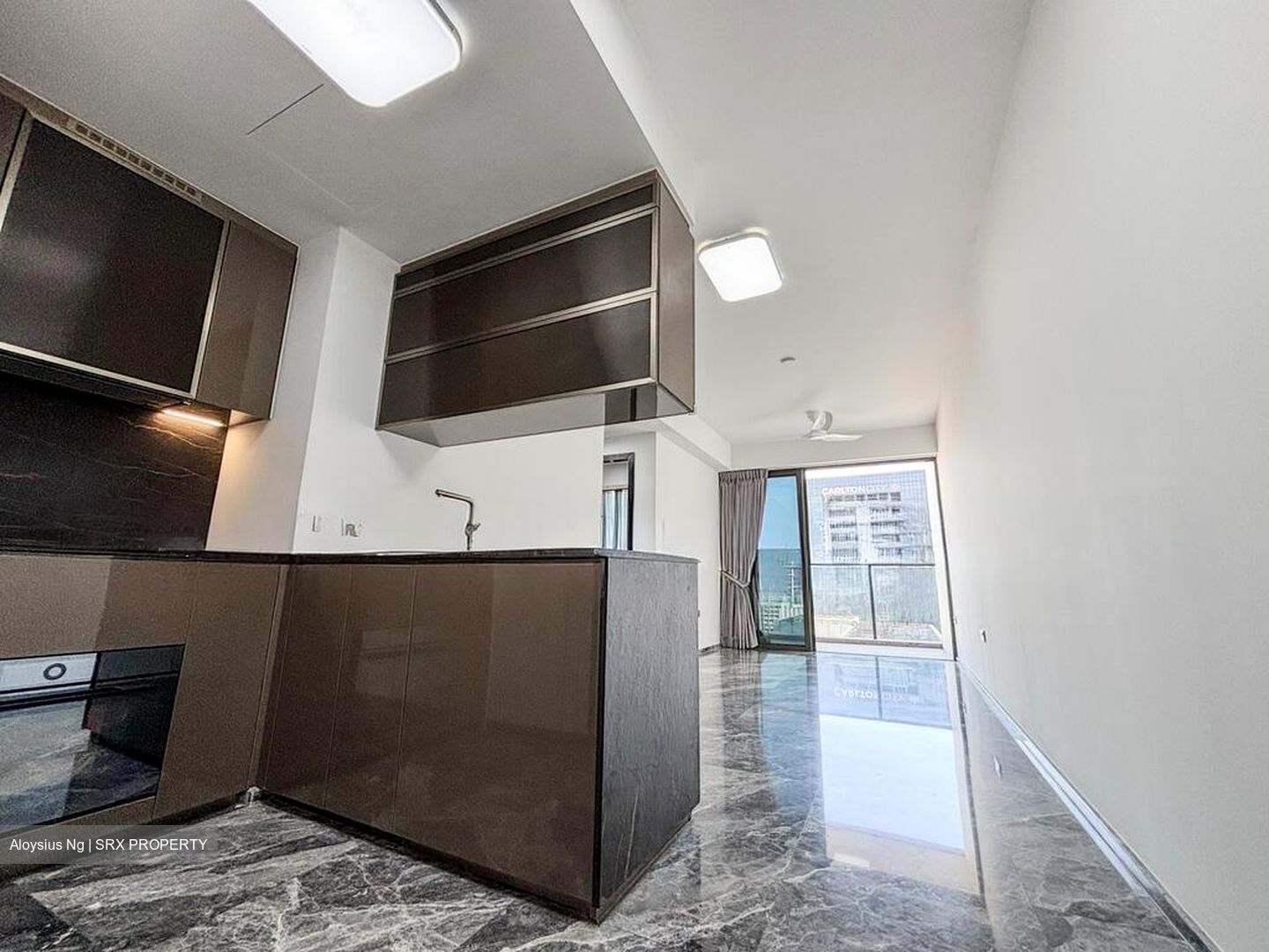 One Bernam (D2), Apartment #508080591